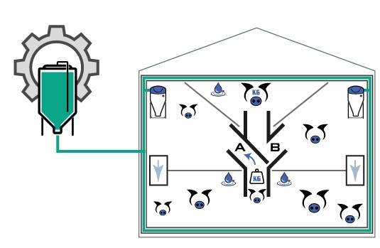 Organización con AutoSort